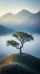 arbre de solitude