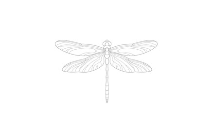 Delicate dragonfly linework illustration against clean white backdrop promoting ethereal beauty