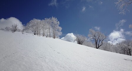 Frost in Mt.Otoe  音江山の樹氷