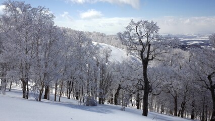 Frost in Mt.Otoe  音江山の樹氷