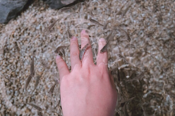 The Feast of the Hand