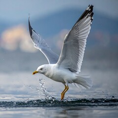 A gull takes flight above a body of water, wings outstretched, in sunlight