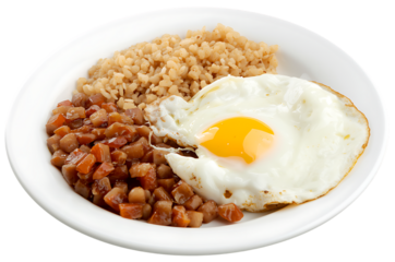 Brazilian feijoada with rice and fried egg close up