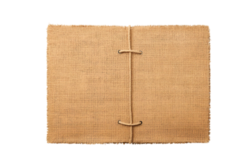 Ancient egyptian papyrus scroll with hieroglyphs and text