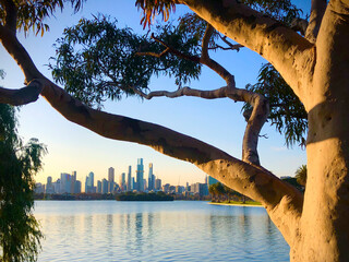 Obraz premium Looking over Albert Park Lake to Melbourne city at sunset in winter.