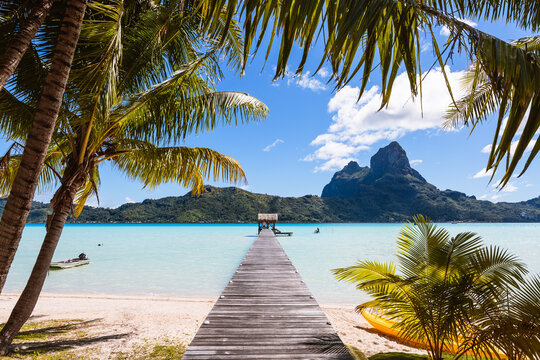 Jetty and palm trees, Bora Bora, French Polynesia