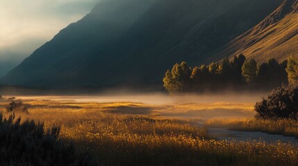 Misty Sunrise Valley River Landscape.