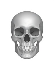 Obraz premium A detailed frontal view of a human skull, rendered in grayscale