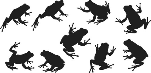 Collection of frog silhouettes in various jumping and sitting poses, black amphibian vector illustration for wildlife, nature, and educational design projects