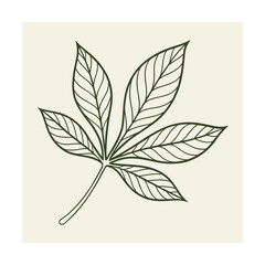 Stylized Outline of a Five- Lobed Leaf on Cream Background plant foliage