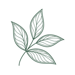 Dark Green Outline of a Plant Branch with Five Leaves on White Background vector