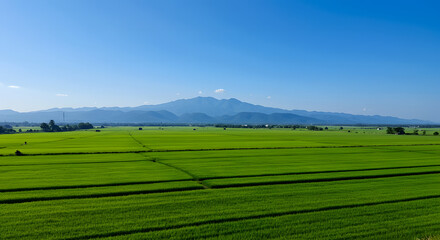 Fototapeta premium Emerald Horizon: The Majesty of Green Fields Beneath Blue Skies