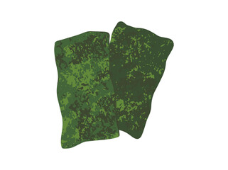 Japanese Food Green Nori Seaweed
