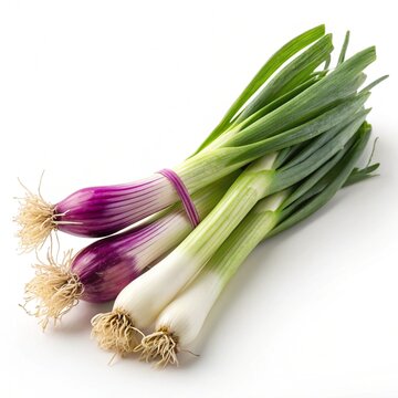 Wild Leeks with Purple Base on White Background