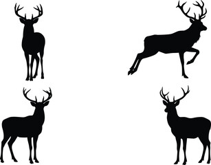 Deer silhouettes collection, stag and buck animal outlines on white background, wildlife vector illustration, forest nature art design, hunting symbol
