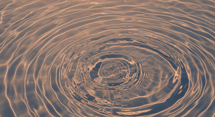 Fototapeta premium Tranquil Water Surface with Circular Ripples and Warm Golden Light Reflection