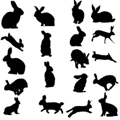 Silhouettes of rabbit on white background.