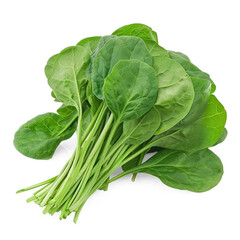 A bunch of fresh spinach leaves on a transparent background.