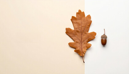 Acorn and Fallen Leaf　Minimalist Autumn Abstract Background
