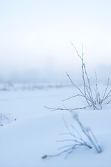 AI Generative. Bright Winter Field Landscape with Fresh Snow and Clear Sky. 4