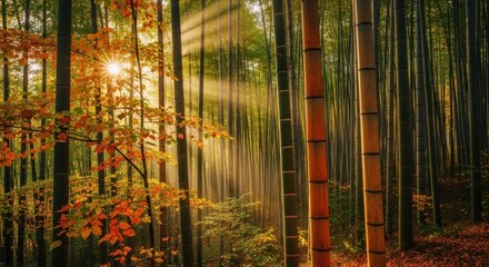 Sun rays through misty bamboo forest with autumn foliage, golden hour