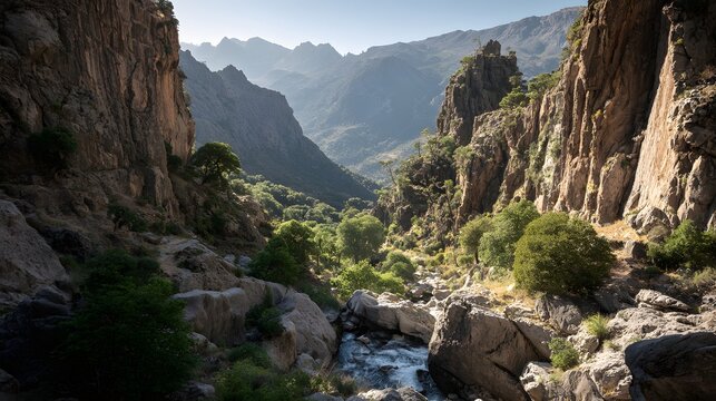 Deep canyon reveals towering rock formations overlooking a verdant, sunlit valley floor with a flowing stream.