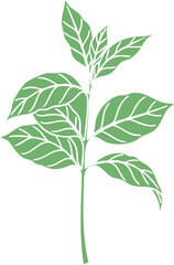 Stylized Green Plant Stem with Leaves Vector Illustration.