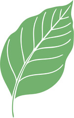 Stylized Green Leaf Vector Illustration with Detailed White Veins.