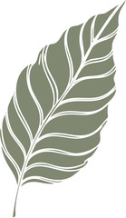 Stylized Green Leaf Vector Illustration with Prominent Veins.