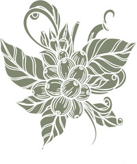 Decorative Coffee Plant Illustration with Berries and Leaves.