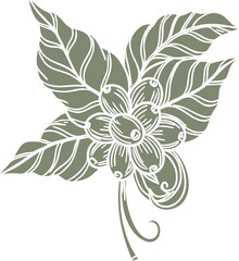 Stylized Coffee Plant Branch with Beans and Leaves Illustration.