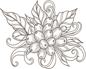 Detailed Hand-Drawn Coffee Beans and Leaves Illustration.