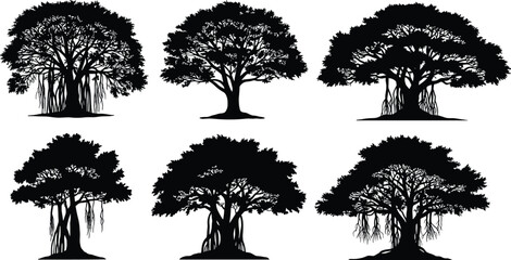 Silhouette of banyan trees collection, tropical forest vector illustration, isolated tree shapes, natural landscape design elements, eco nature artwork, botanical illustration