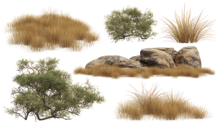 Arid Landscape Elements - Dry Grass, Shrubs, and Rocks Set, Isolated on Transparent background