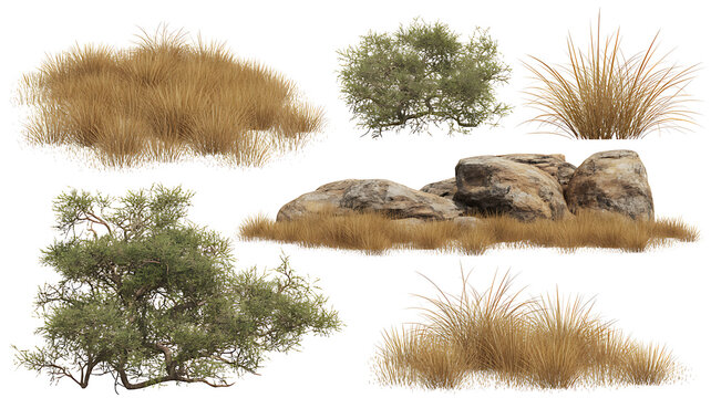 Arid Landscape Elements - Dry Grass, Shrubs, and Rocks Set, Isolated on Transparent background - Powered by Adobe