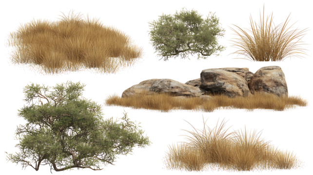 Arid Landscape Elements - Dry Grass, Shrubs, and Rocks Set, Isolated on Transparent background