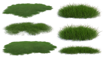 Realistic Green Grass Patches and Tufts, Isolated on Transparent background - Set of 6