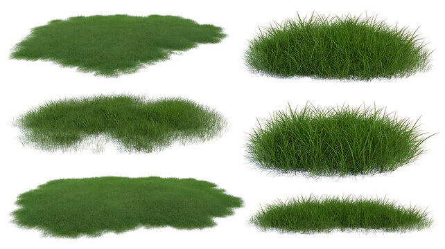 Realistic Green Grass Patches and Tufts, Isolated on Transparent background - Set of 6