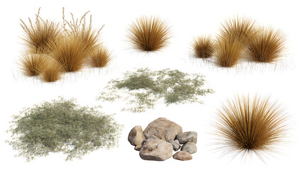 Desert Grasses, Wild Bushes, and Rocks isolated - Natural Landscape Elements