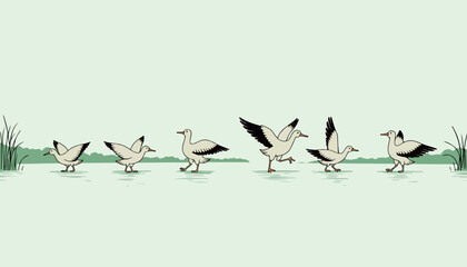 Birds in a row on water