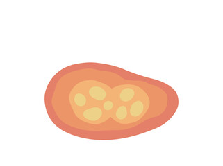 Human Parasite Coccidia Illustration
