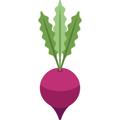 Single Beetroot Vegetable with Green Leaves Isolated on Transparent Background Healthy Food Ingredient Close Up Studio Shot