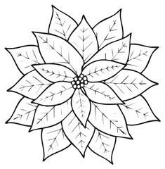 Elegant Poinsettia Outline Illustration with Berries for Coloring Books and Holiday Decor