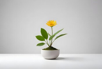White Vase with Green Leaves and White Flowers on Gray Background