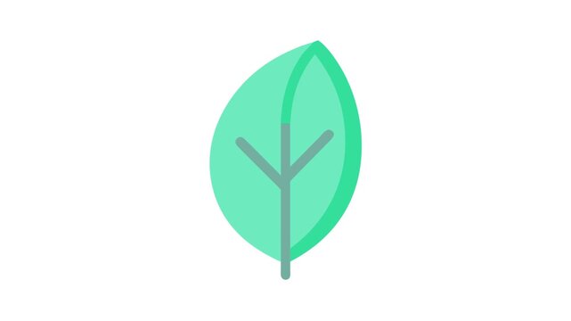 Minimalist Leaf Design in Aqua and Gray Hues