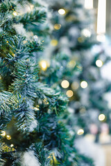 Obraz premium Christmas green tree leaf with bokeh of night light xmas season