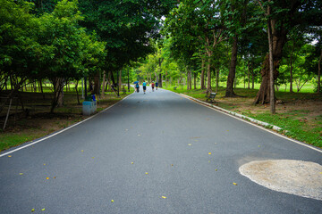 Asphalt walking and running road into green tree city park