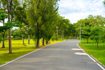 Asphalt walking and running road into green tree city park