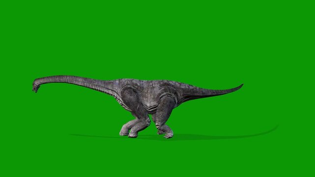 Realistic Carnotaurus idle Left on Green Screen Video-Jurassic Dinosaur VFX Clip