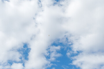 Obraz premium Blue Sky with Clouds and Bird Soaring High